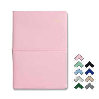 DV PRO1 ���� 32�� ���̾