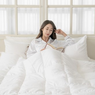 [��ư���] �����̾� Ŭ���� �̺Ҽ�Ʈ (���۽̱�)