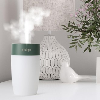 �÷��̰� W220 �̴ϰ����� 350ml