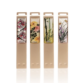 �籺�� �ڰ� USB2.0 8G N250G