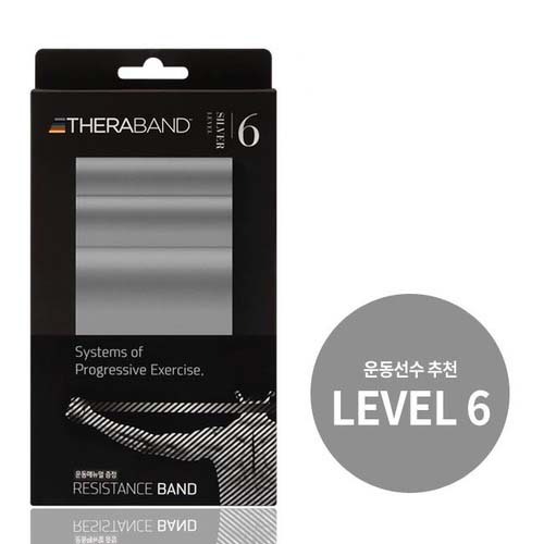 ������ LEVEL 6 (�ǹ�)