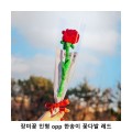 ��ũ�ص� ��̲� ���� opp �Ѽ��� �ɴٹ� ��ũ ����